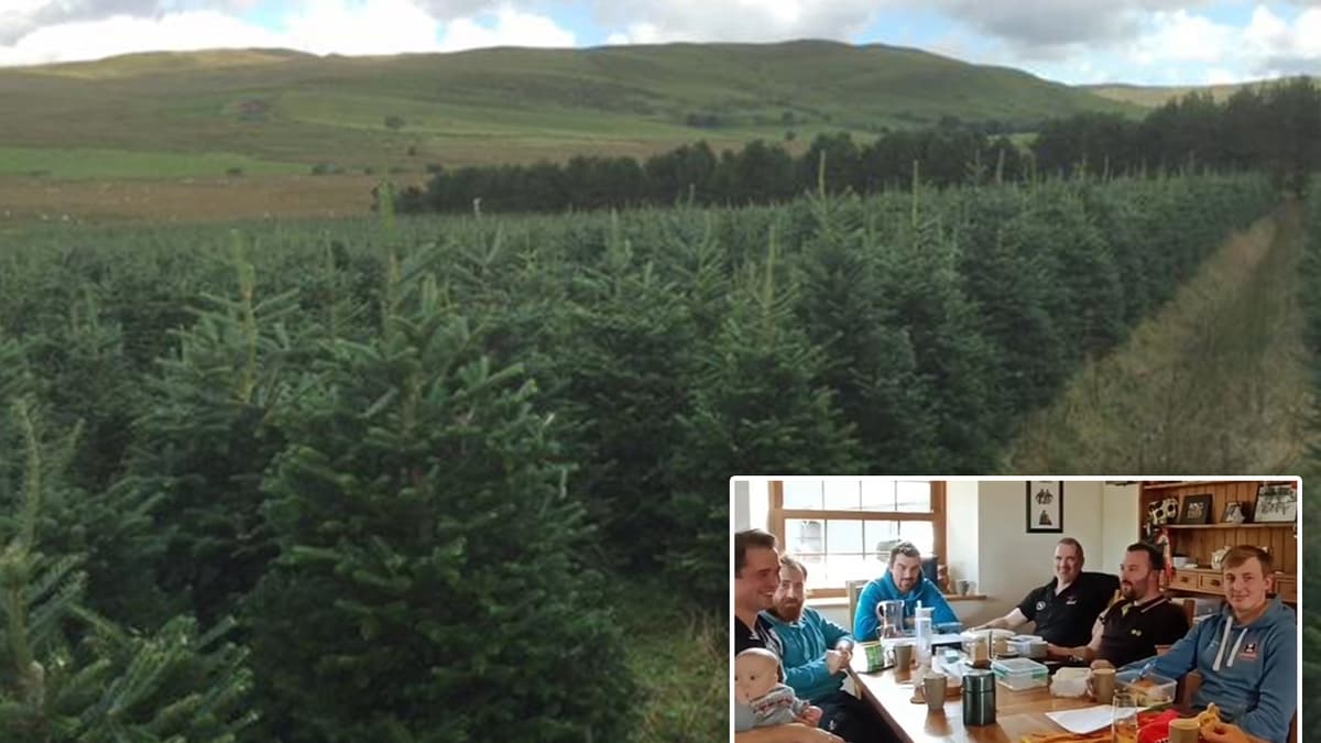 Ceredigion company reveals secrets of growing the picture perfect